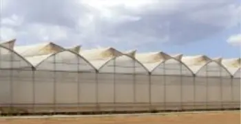 Invernaderos con film de larga duración térmica premium