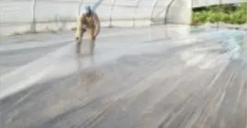 Suelo cubierto con film para solarización